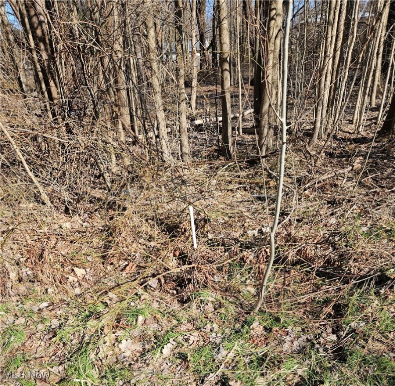 Indianola Madison OH 44057