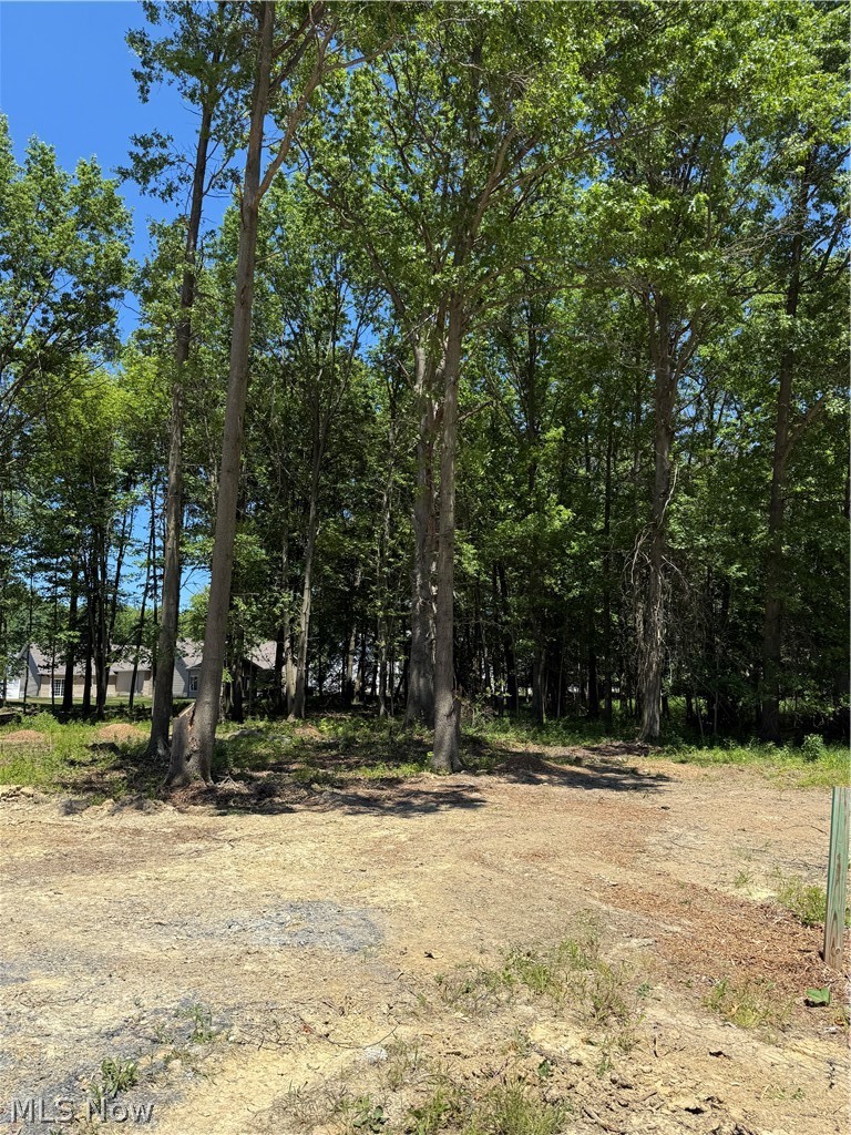 48 Breezewood Lane Vermilion OH 44089