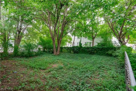 823 Starkweather Avenue Cleveland OH 44113