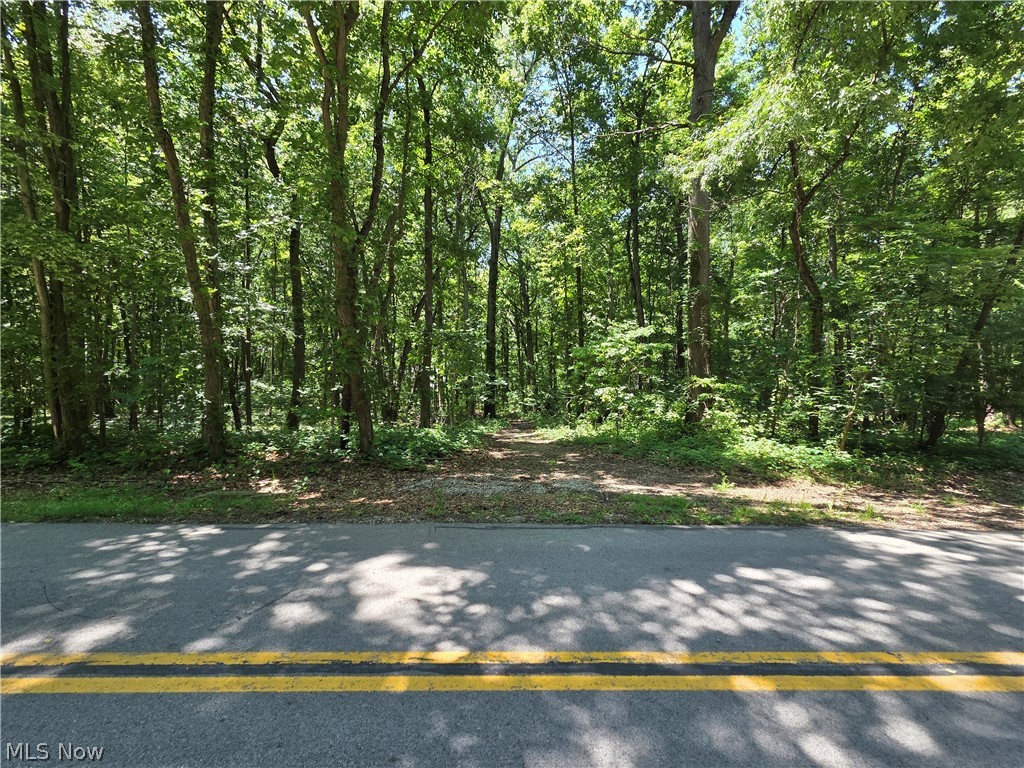V/l - Poorman Road Vermilion OH 44089