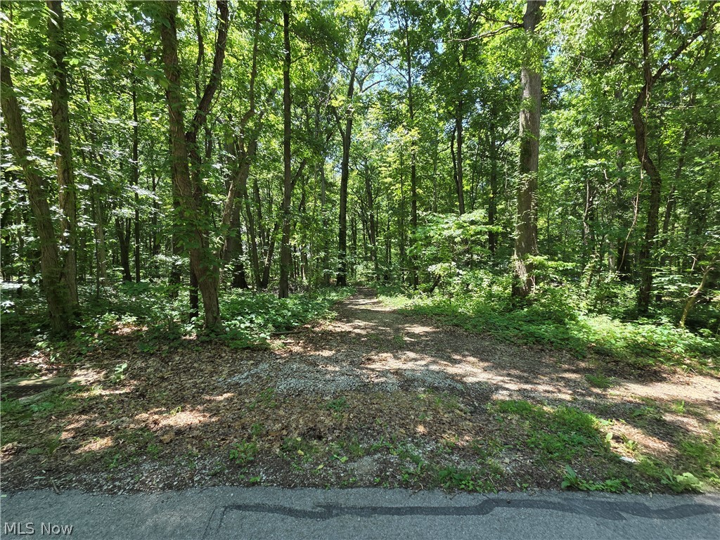 V/l - Poorman Road Vermilion OH 44089