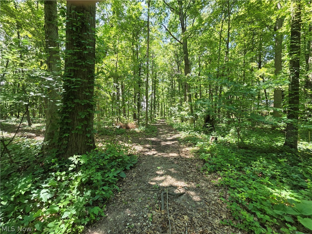 V/l - Poorman Road Vermilion OH 44089