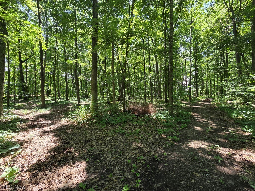 V/l - Poorman Road Vermilion OH 44089