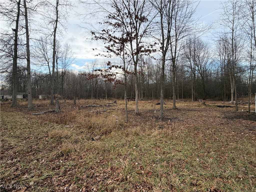 W Nevada Avenue Sebring OH 44672