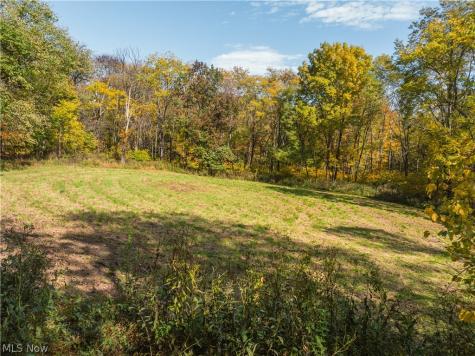 Trail 228 Glenmont OH 44628
