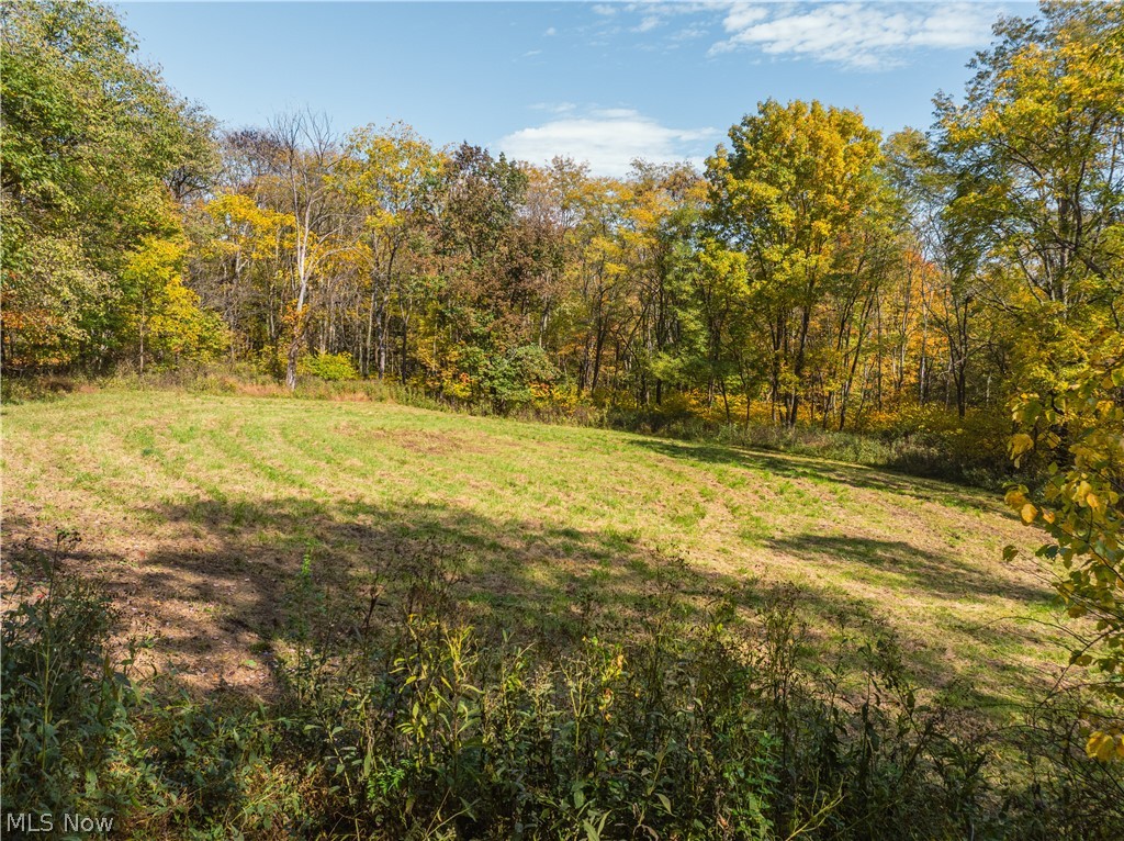 Trail 228 Glenmont OH 44628
