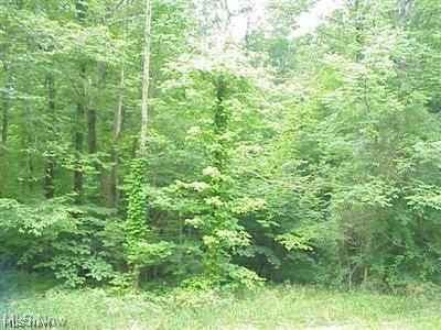 Laurel Road West Salem OH 44287