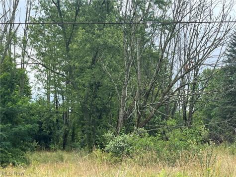 Stanley Road Garrettsville OH 44231