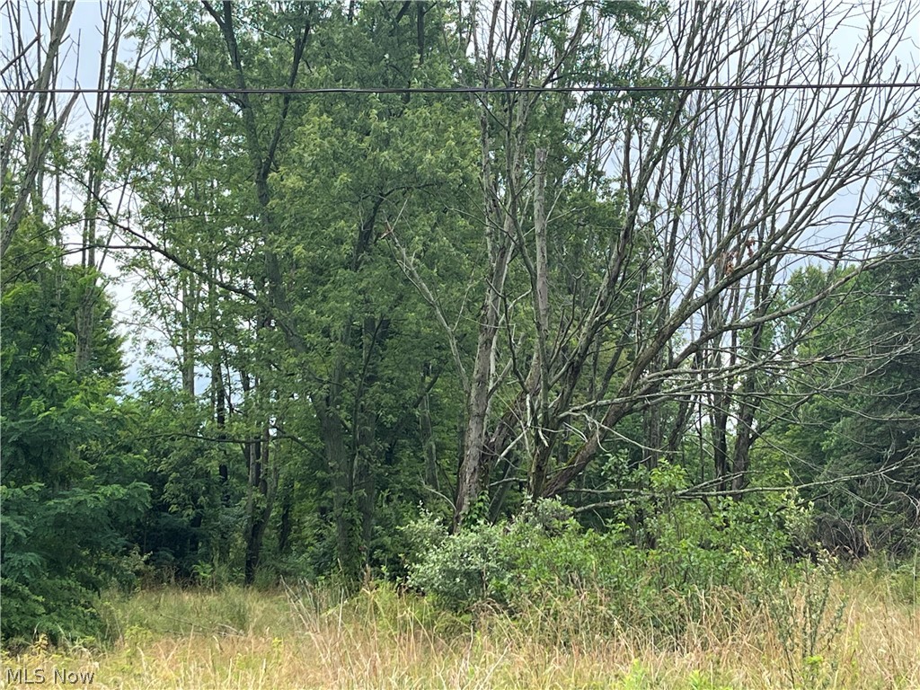 Stanley Road Garrettsville OH 44231