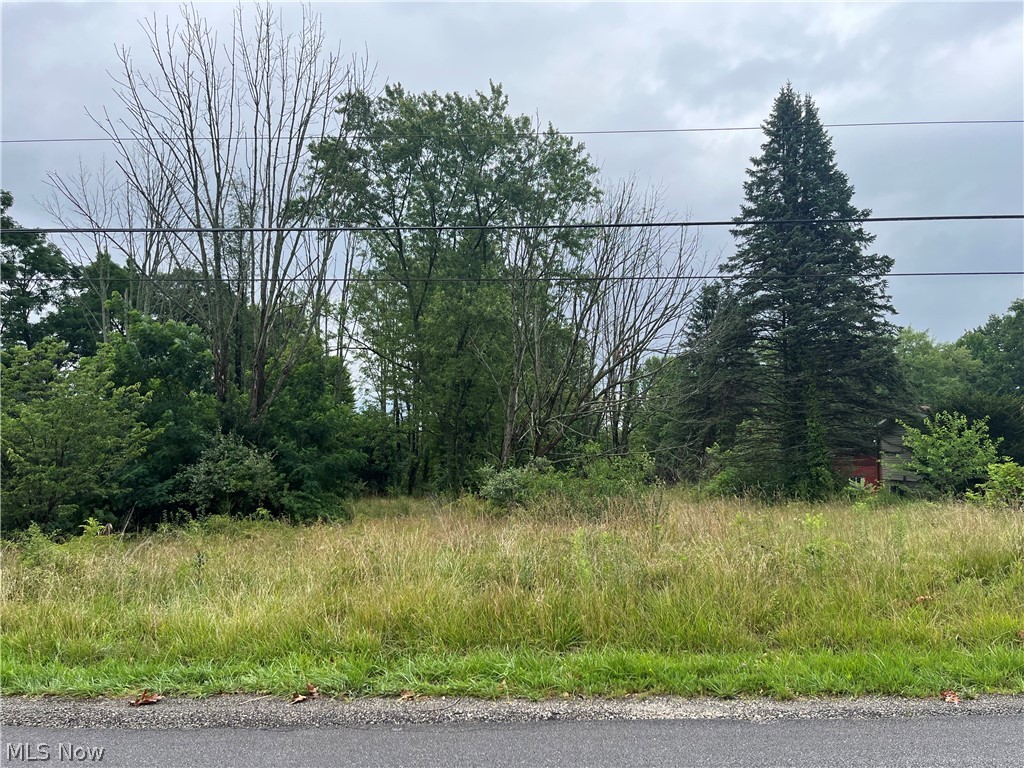 Stanley Road Garrettsville OH 44231