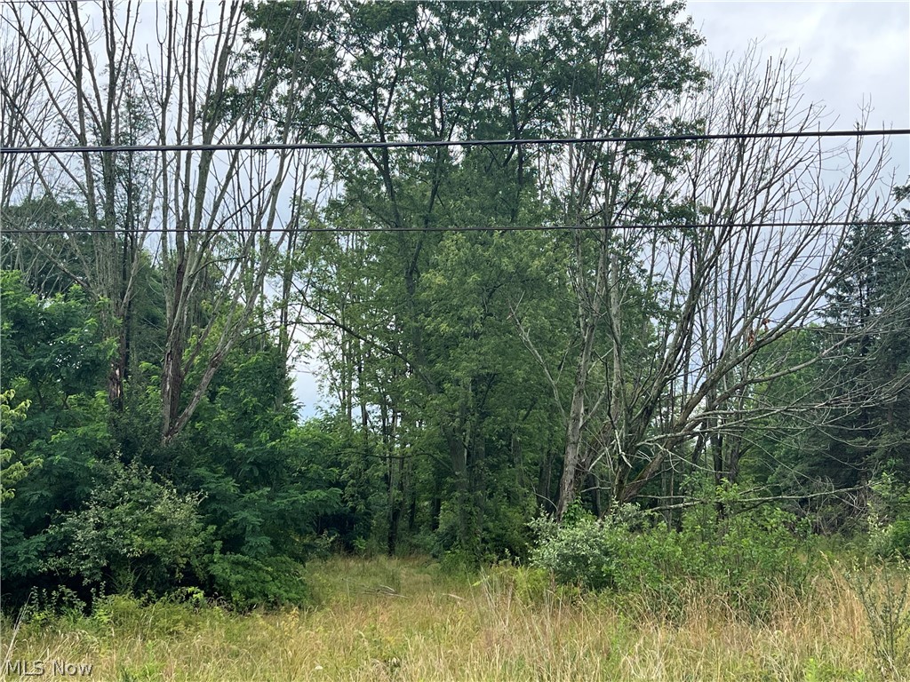 Stanley Road Garrettsville OH 44231