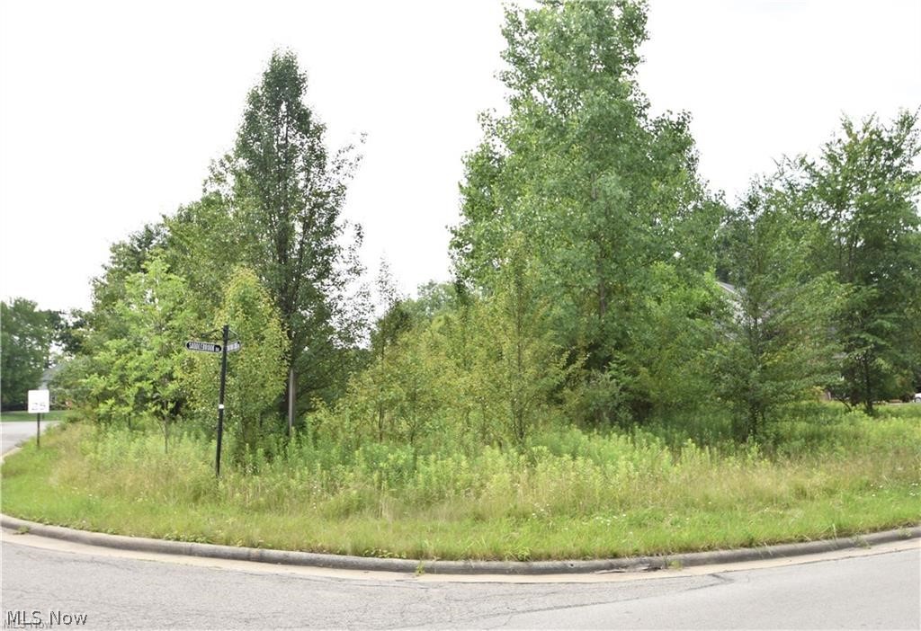 Saddlebrook Lot 156 Drive Boardman OH 44512