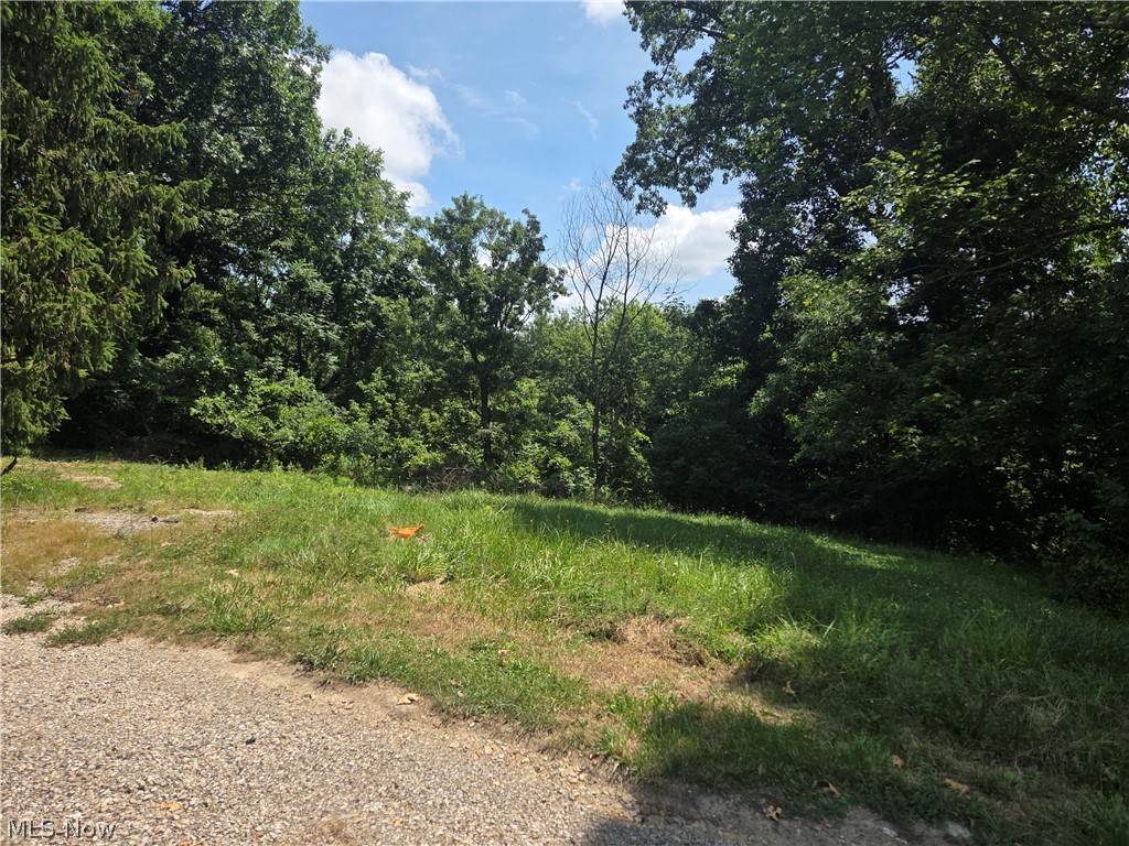 601 Orme Avenue Cambridge OH 43725