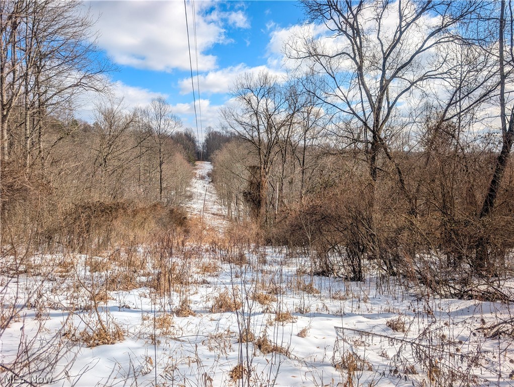 0 Tract 13 Ayers Ridge Lower Salem OH 43788