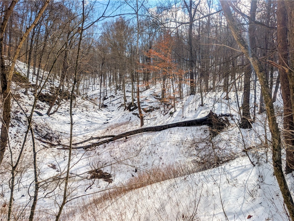0 Tract 13 Ayers Ridge Lower Salem OH 43788