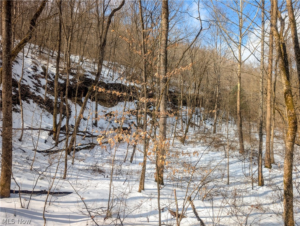 0 Tract 13 Ayers Ridge Lower Salem OH 43788