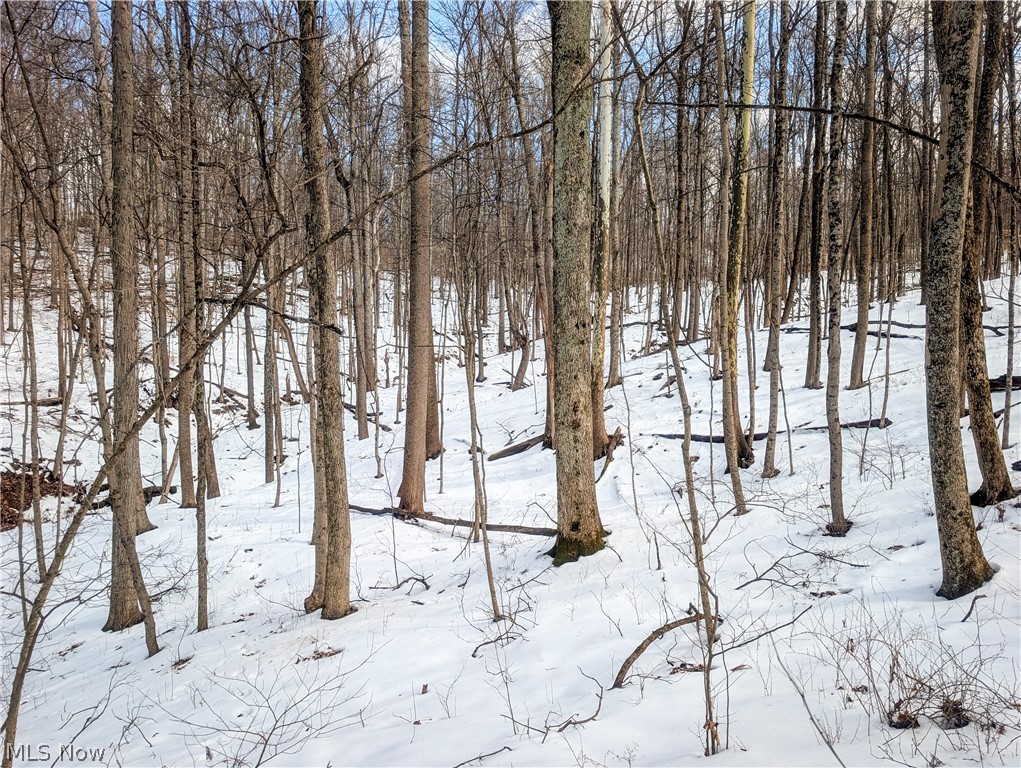 0 Tract 13 Ayers Ridge Lower Salem OH 43788