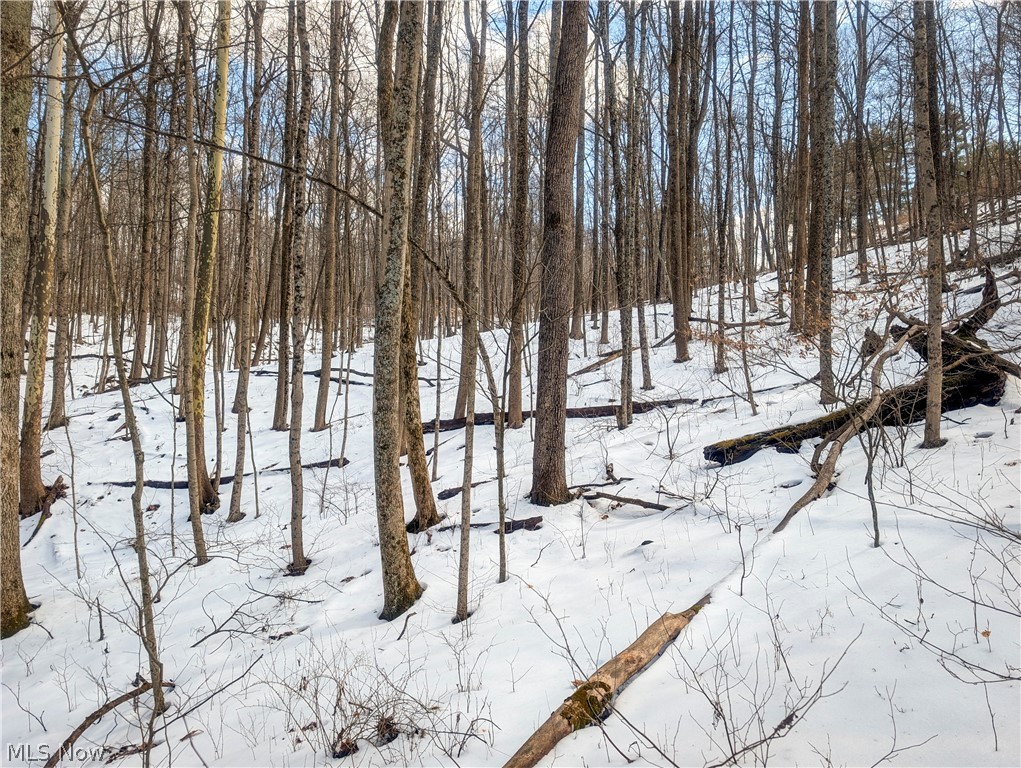 0 Tract 13 Ayers Ridge Lower Salem OH 43788