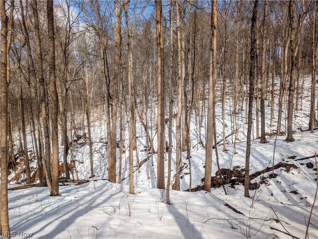 0 Tract 13 Ayers Ridge Lower Salem OH 43788