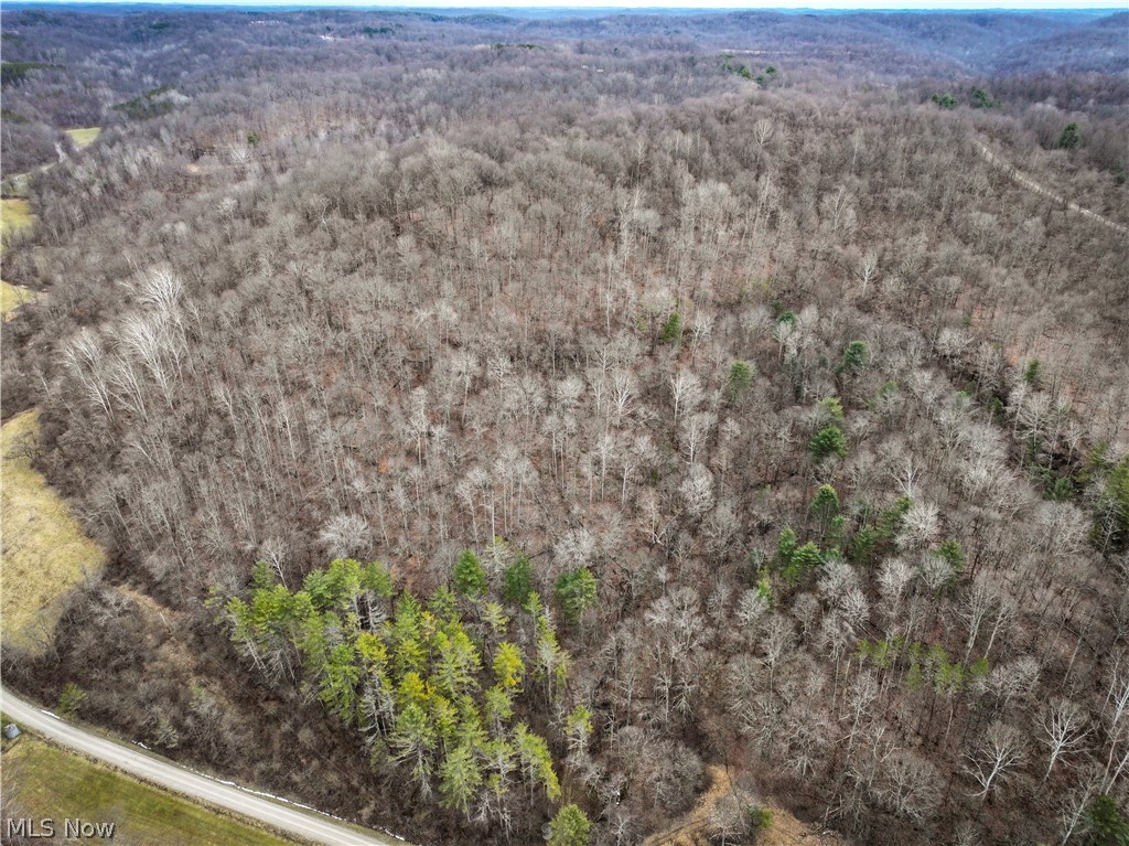 0 Tract 13 Ayers Ridge Lower Salem OH 43788