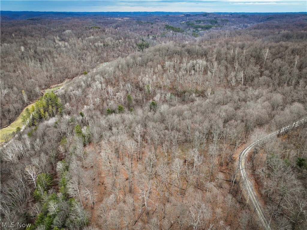 0 Tract 13 Ayers Ridge Lower Salem OH 43788