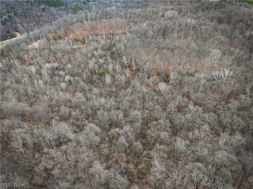 0 Tract 13 Ayers Ridge Lower Salem OH 43788
