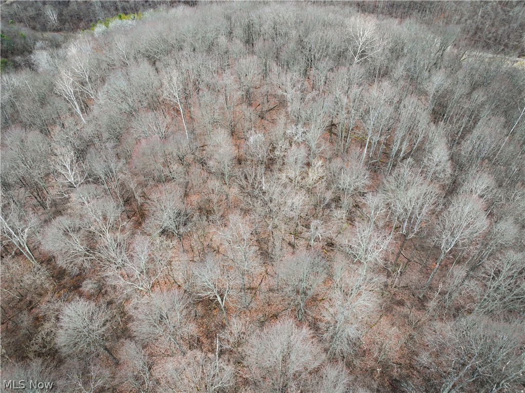 0 Tract 13 Ayers Ridge Lower Salem OH 43788
