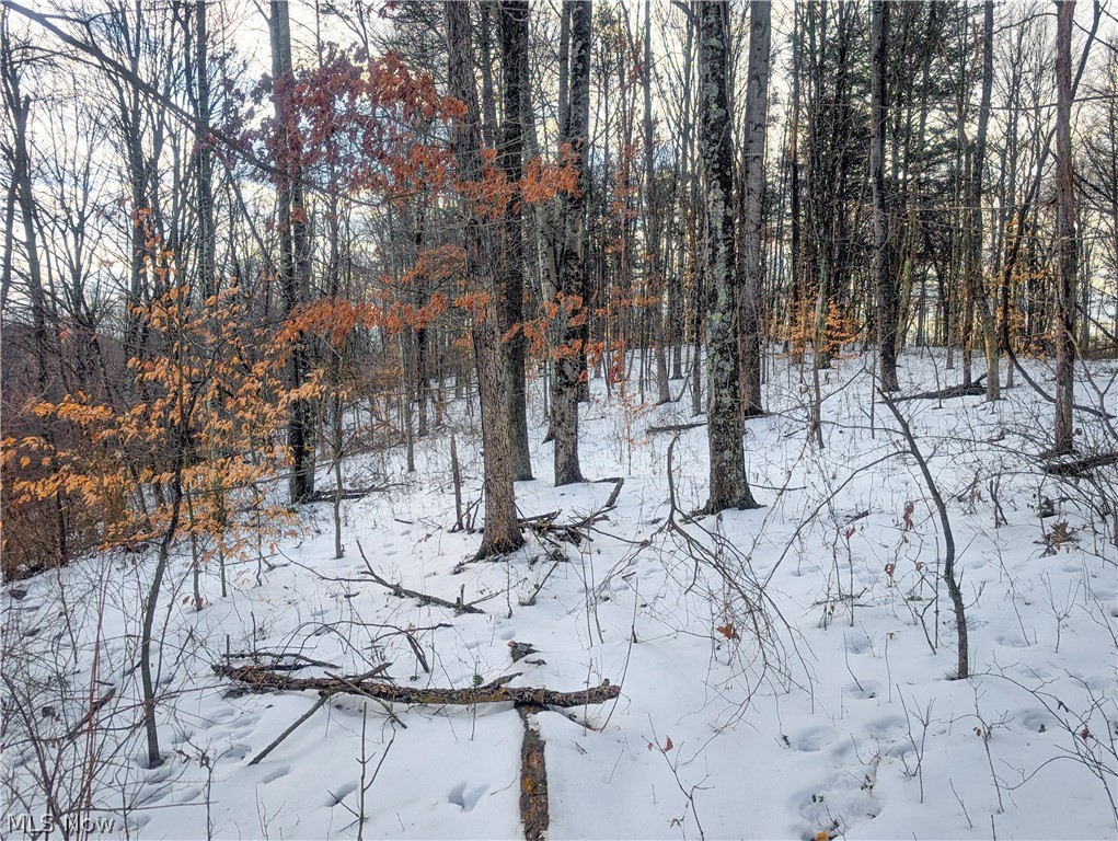 0 Tract 13 Ayers Ridge Lower Salem OH 43788