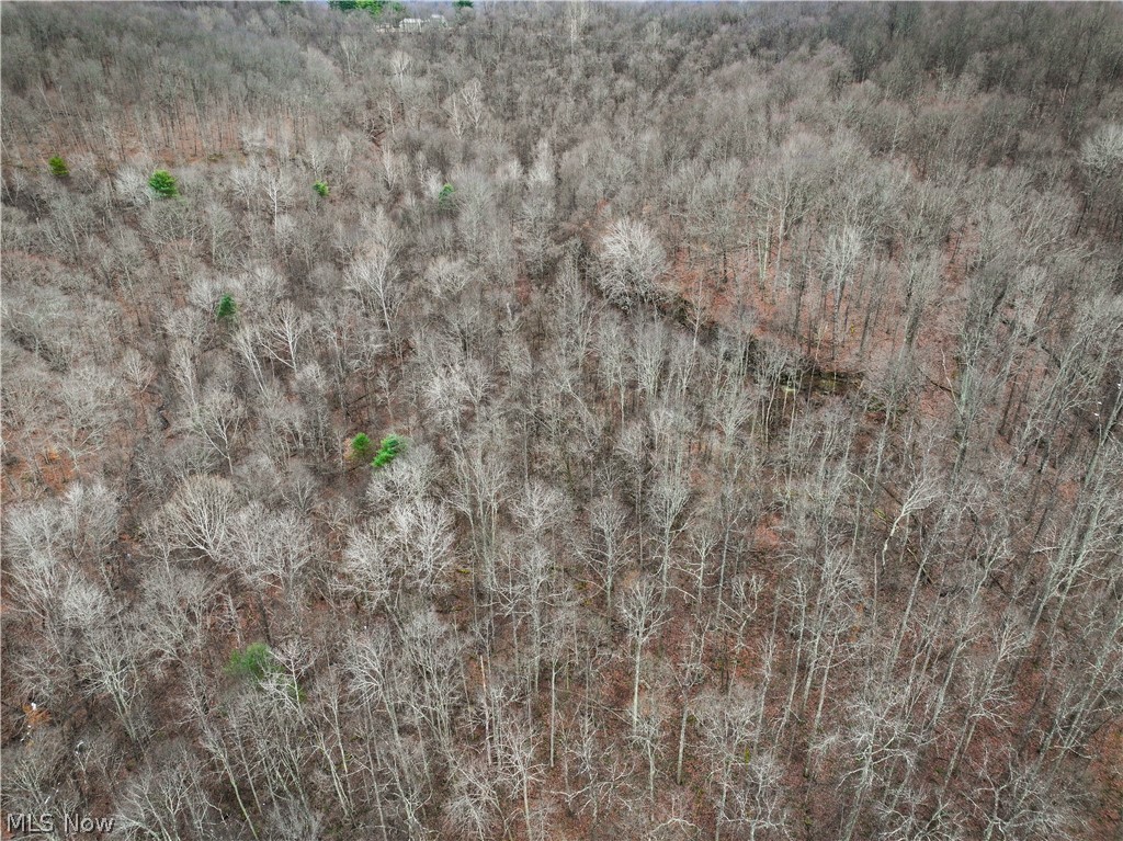 0 Tract 13 Ayers Ridge Lower Salem OH 43788