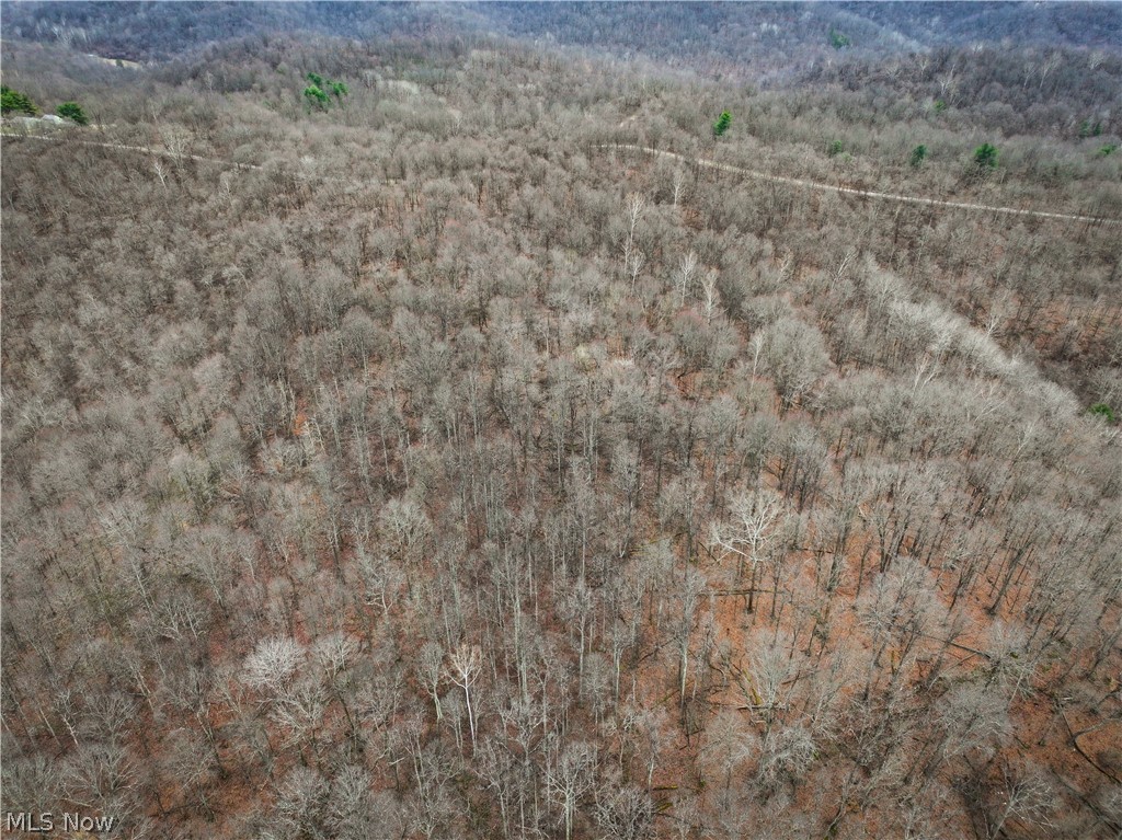 0 Tract 13 Ayers Ridge Lower Salem OH 43788