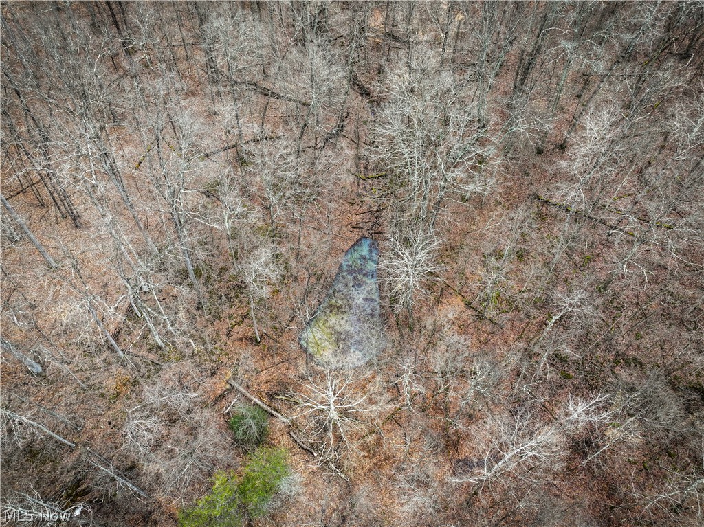 0 Tract 13 Ayers Ridge Lower Salem OH 43788