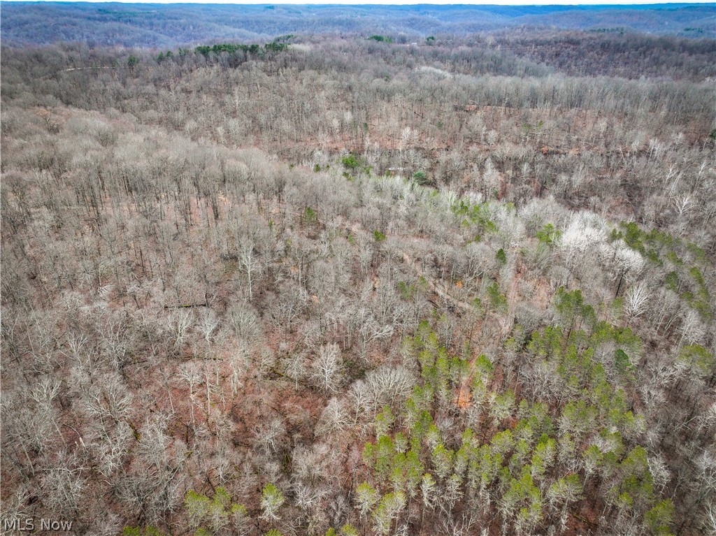 0 Tract 13 Ayers Ridge Lower Salem OH 43788