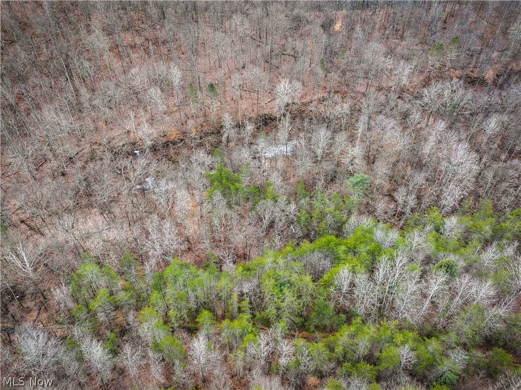 0 Tract 13 Ayers Ridge Lower Salem OH 43788