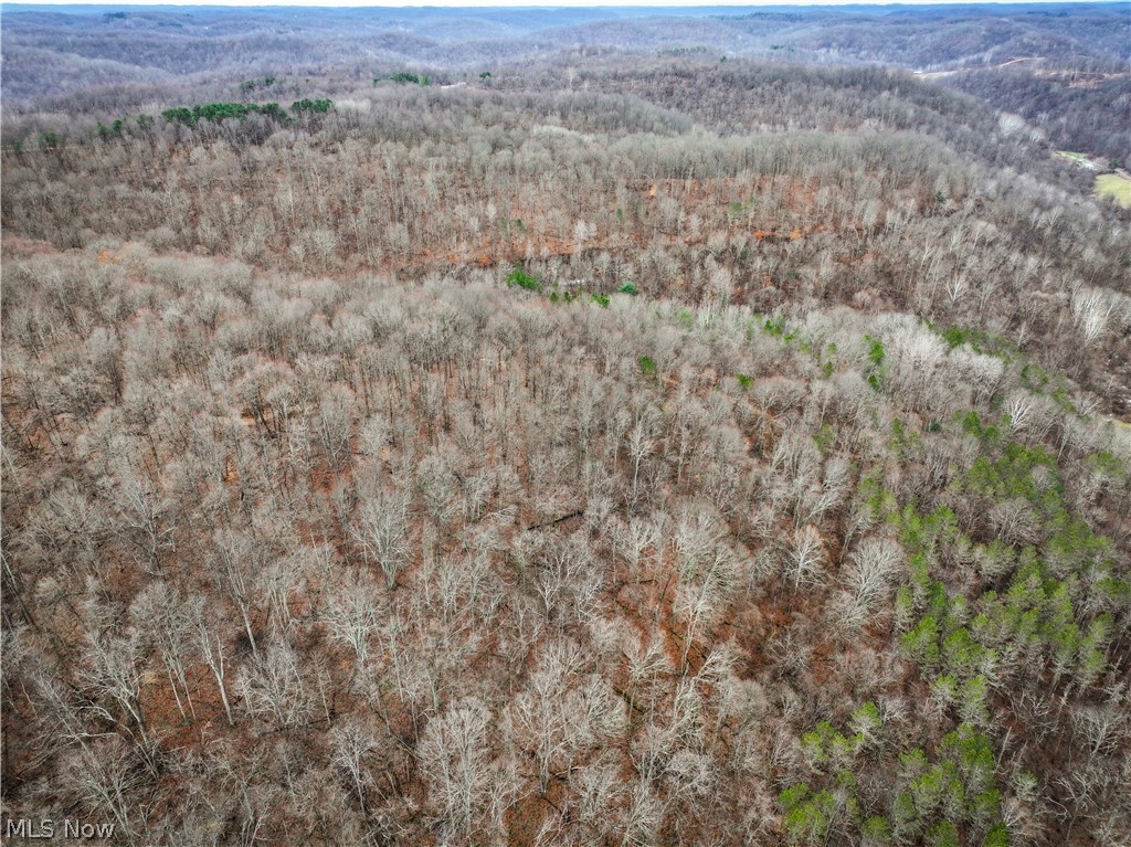 0 Tract 13 Ayers Ridge Lower Salem OH 43788