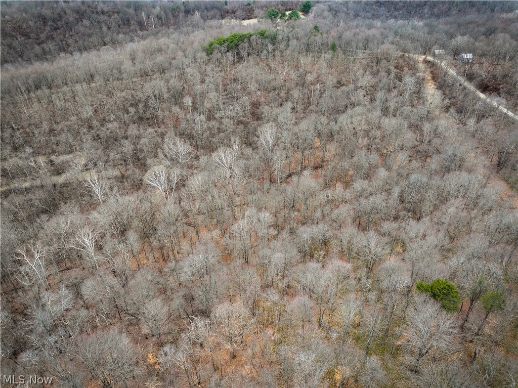 0 Tract 13 Ayers Ridge Lower Salem OH 43788