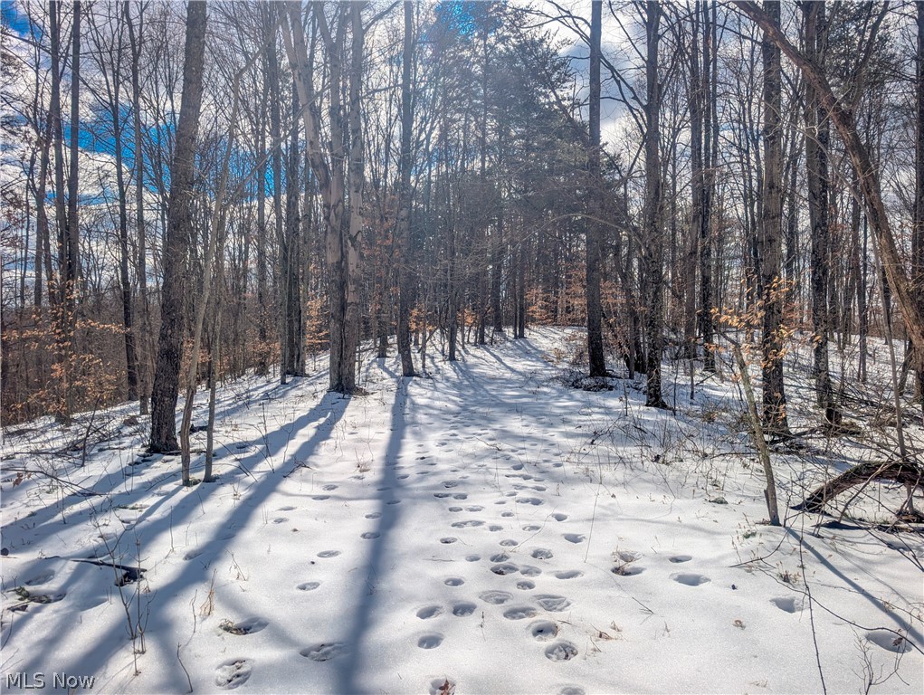 0 Tract 13 Ayers Ridge Lower Salem OH 43788