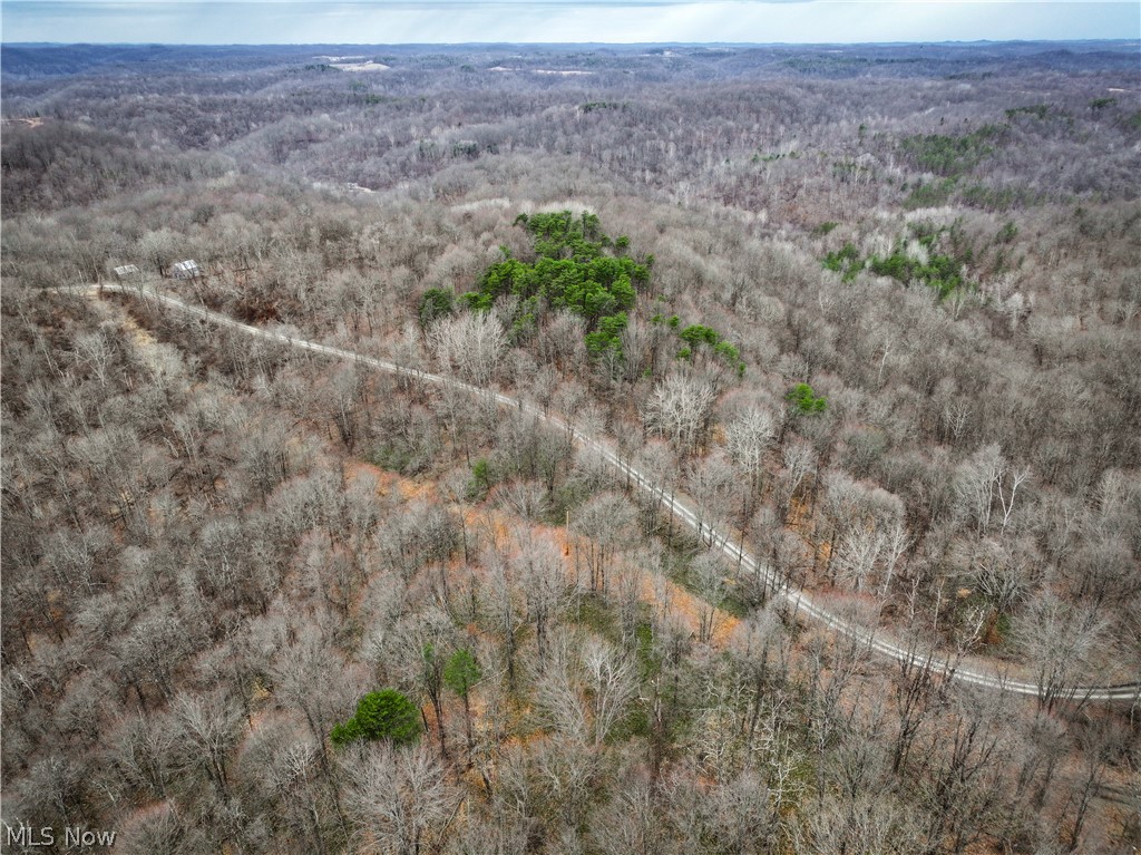 0 Tract 13 Ayers Ridge Lower Salem OH 43788
