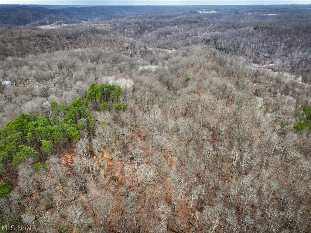 0 Tract 13 Ayers Ridge Lower Salem OH 43788