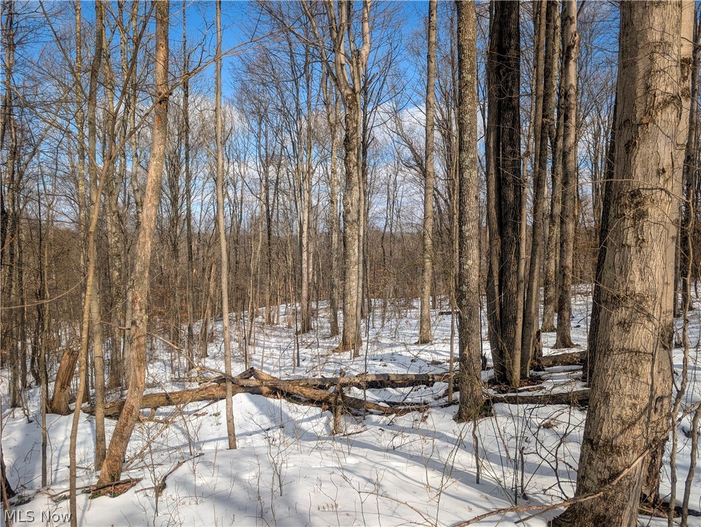0 Tract 13 Ayers Ridge Lower Salem OH 43788