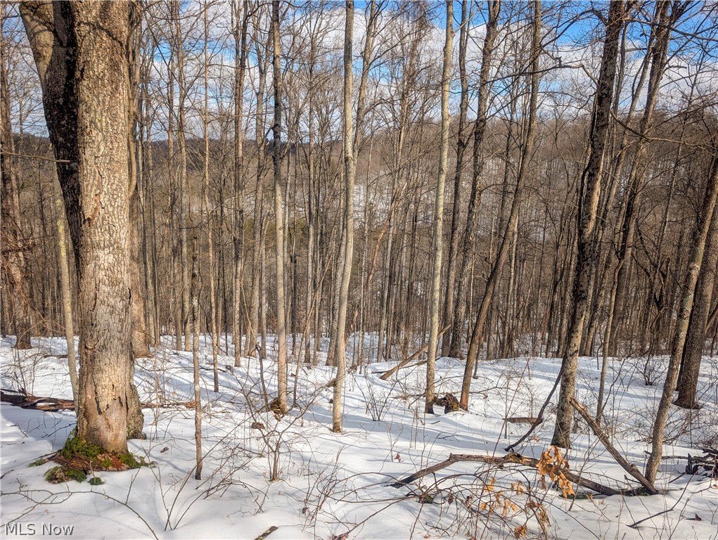 0 Tract 13 Ayers Ridge Lower Salem OH 43788