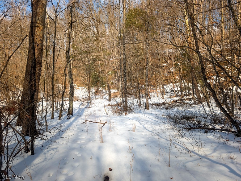 0 Tract 13 Ayers Ridge Lower Salem OH 43788