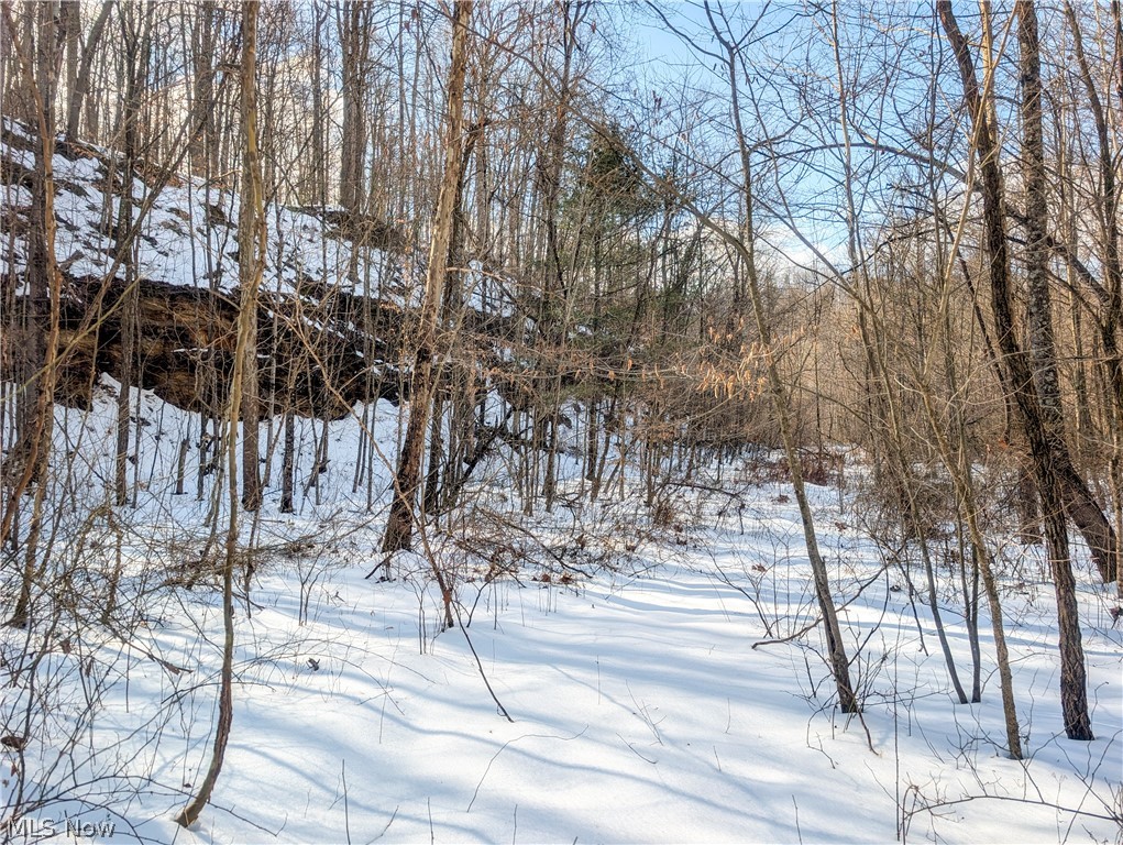 0 Tract 13 Ayers Ridge Lower Salem OH 43788