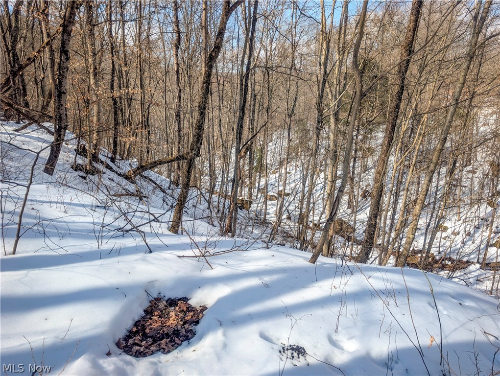 0 Tract 13 Ayers Ridge Lower Salem OH 43788