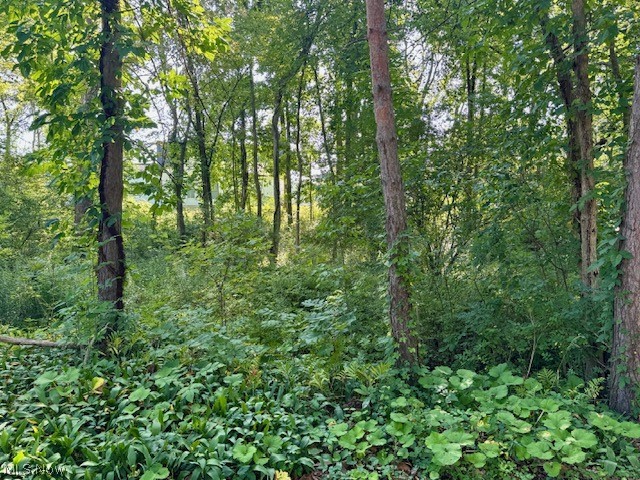 V/l Edgerton Road North Royalton OH 44133
