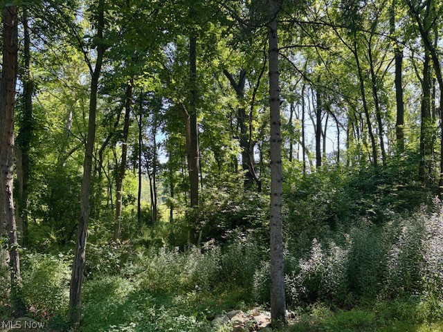 V/l Edgerton Road North Royalton OH 44133