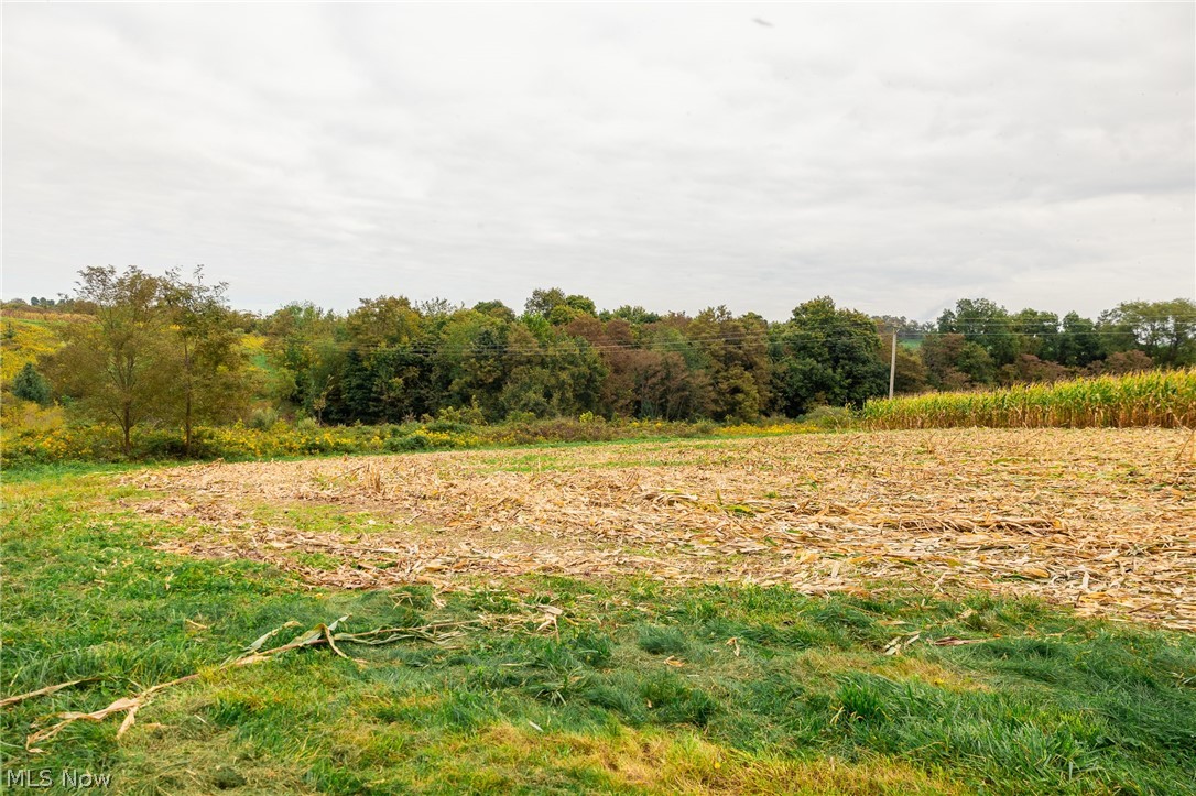 163 County Road 3 Rayland OH 43943
