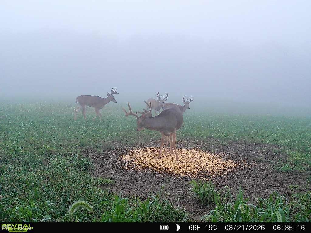 163 County Road 3 Rayland OH 43943