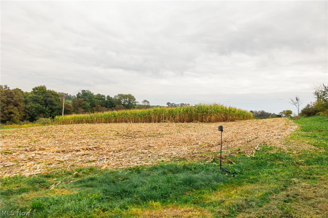 163 County Road 3 Rayland OH 43943