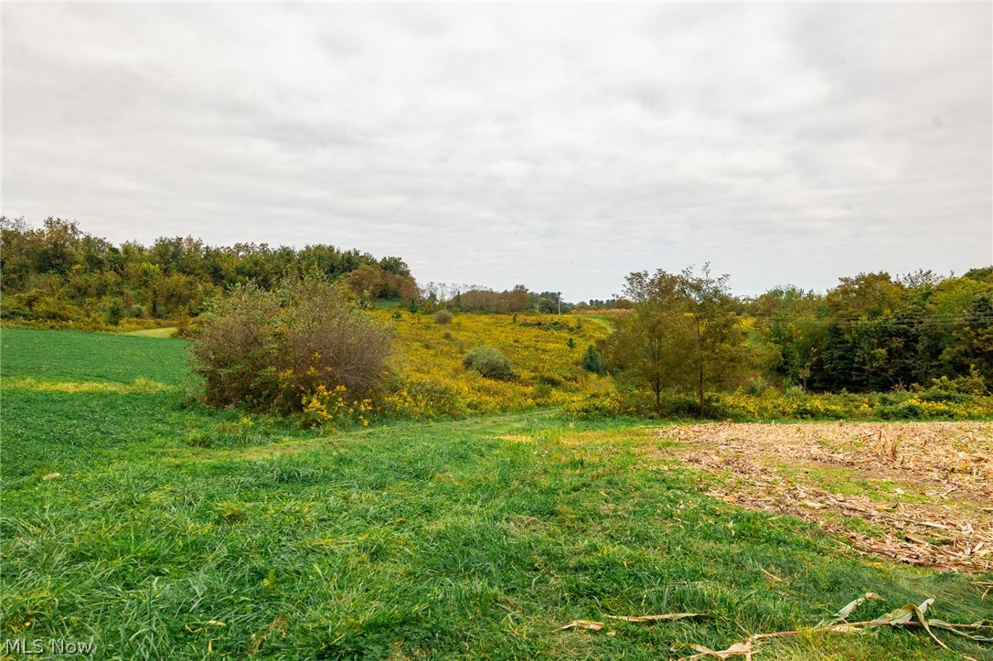 163 County Road 3 Rayland OH 43943