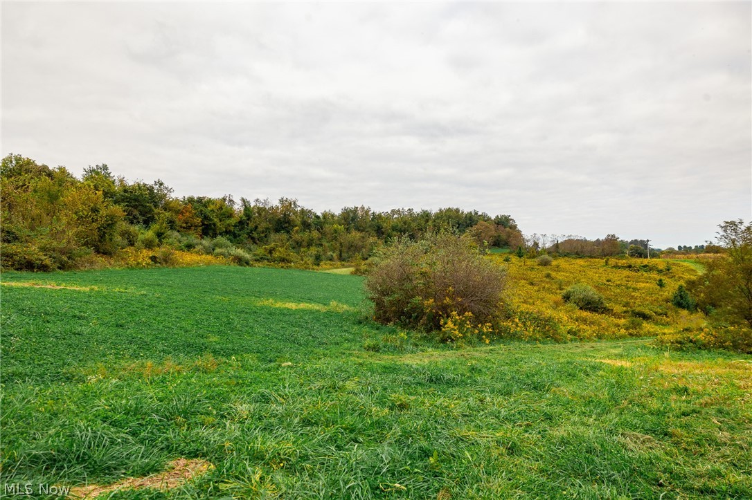 163 County Road 3 Rayland OH 43943